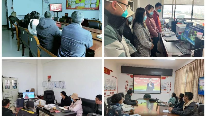企业内训定制与标准课程：如何选择更适合您的培训方案**